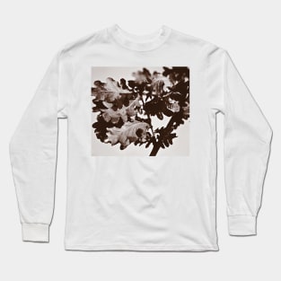 ‘Oak Leaf Cluster’ - a sepia-treated image Long Sleeve T-Shirt